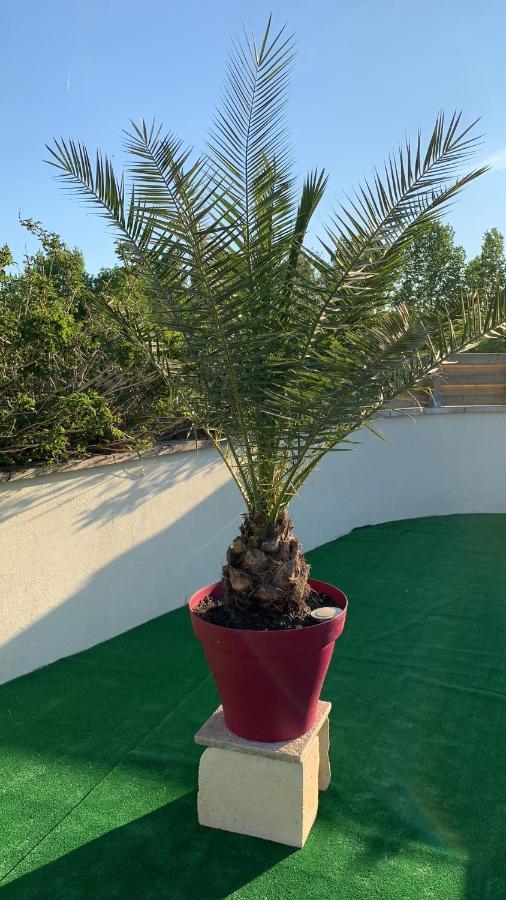 Bed and Breakfast Le Jardin Des Hirondelles Blanzaguet-Saint-Cybard Esterno foto